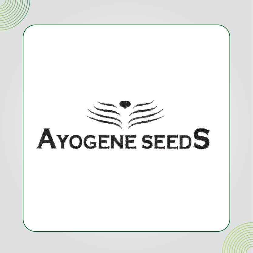 Ayogene Seeds